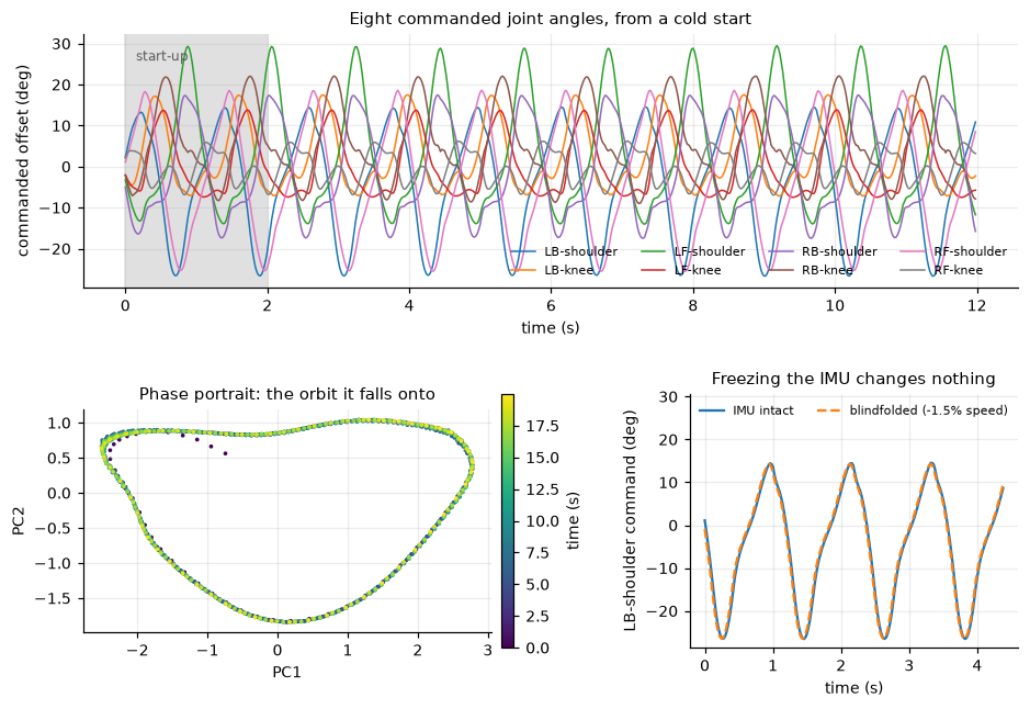 Top: eight commanded joint angles from a cold start, settling into a repeating pattern after about two seconds. Bottom left: a phase portrait showing a closed orbit in the first two principal components. Bottom right: the left-back shoulder command with the IMU intact and blindfolded, tracing the same waveform.